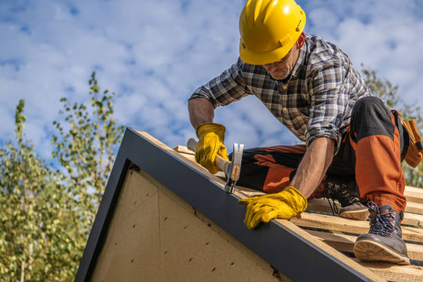 Best Skylights  in Mcminnville, TN